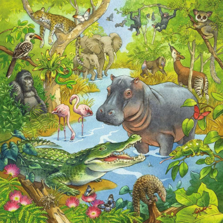 Puzzle Aventuri In Jungla, 3X49 Piese [1]