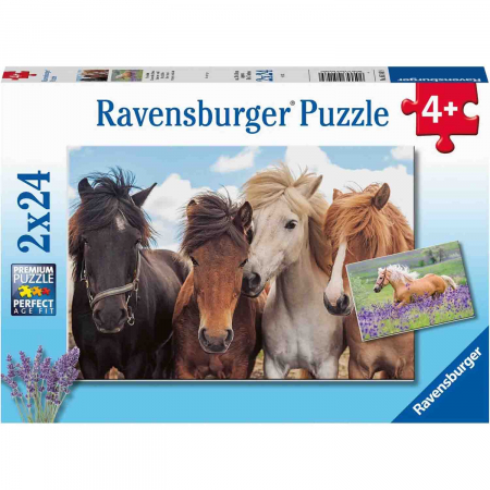 Puzzle Cai, 2X24 Piese [2]