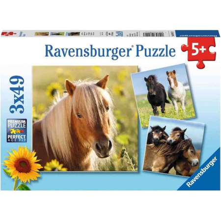 Puzzle Cai, 3X49 Piese [1]