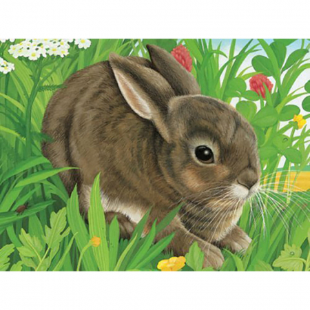 Jocuri tip puzzle - Puzzle In Cutie Animale, 12 Piese