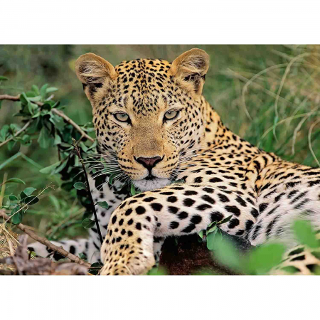 Puzzle Leopard, 100 Piese [0]