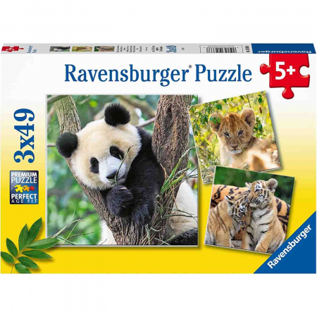 Puzzle Panda, Leu Si Tigru, 3X49 Piese [3]