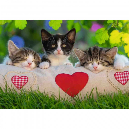Puzzle Pisicute Somnoroase, 2X24 Piese [0]