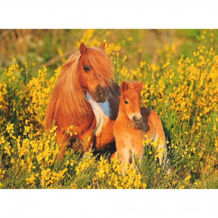 Jocuri tip puzzle - Puzzle Ponei, 100 Piese
