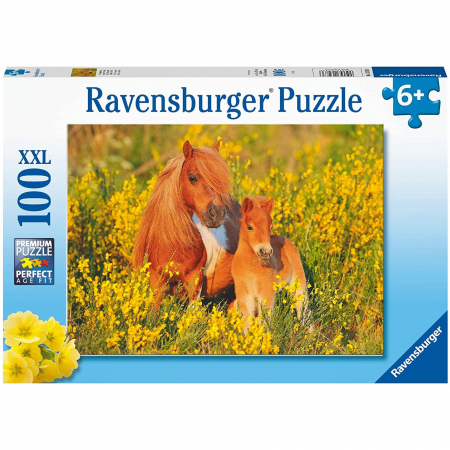 Puzzle Ponei, 100 Piese [1]