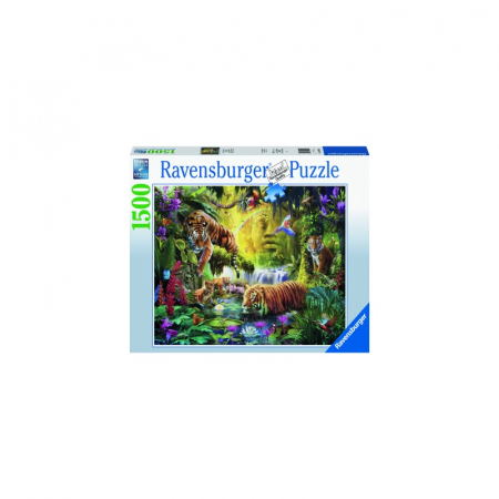 Jocuri tip puzzle - Puzzle Ravensburger Iaz Cu Tigri, 1500 Piese