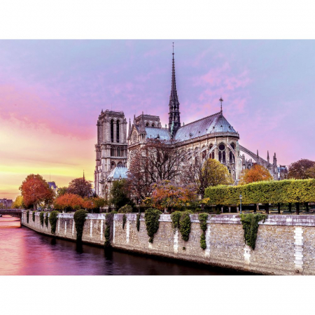 Jocuri tip puzzle - Puzzle Ravensburger Pictura Notre Dame