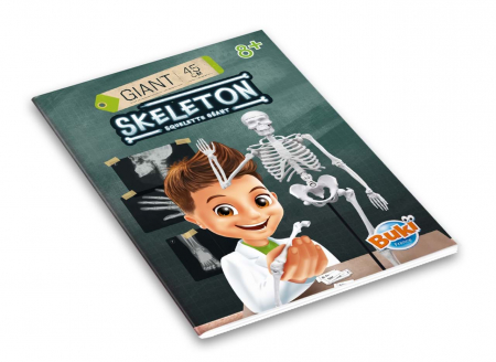 Schelet Gigant Buki France 45 cm [7]