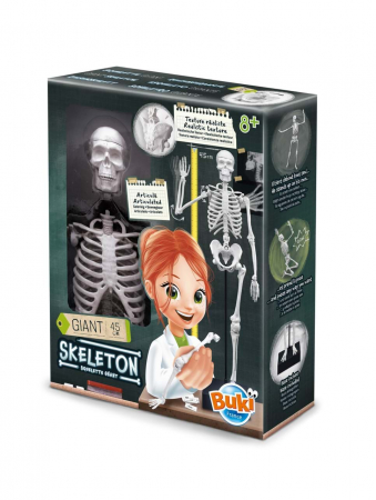 Jucarii educative - Schelet Gigant Buki France 45 cm