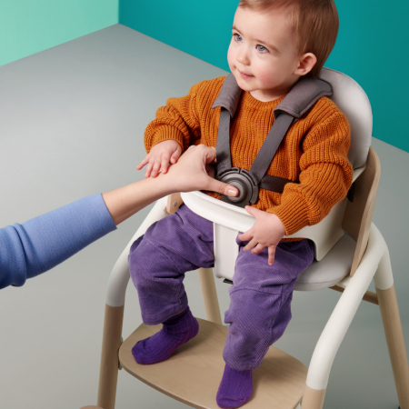 Set bebelusi pentru scaun Bugaboo Giraffe Blue [2]