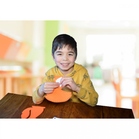 Set de cusut Buddy and Barney Lumea Animalelor [3]