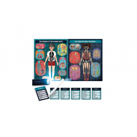 Stem Puzzle radiografia corpului uman Headu [1]