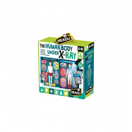 Jocuri tip puzzle - Stem Puzzle radiografia corpului uman Headu