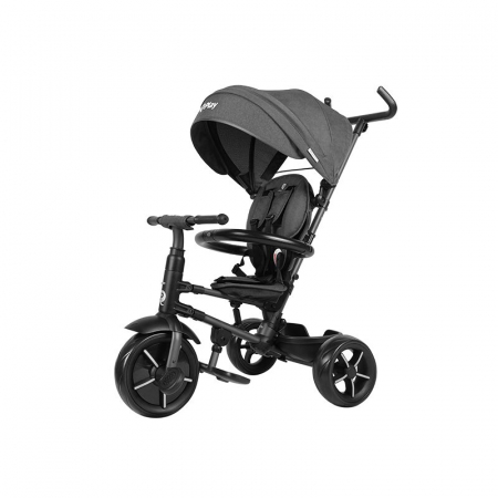 Triciclete - Tricicleta Qplay Rito Star Negru