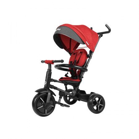 Triciclete - Tricicleta Qplay Rito Star Rosu