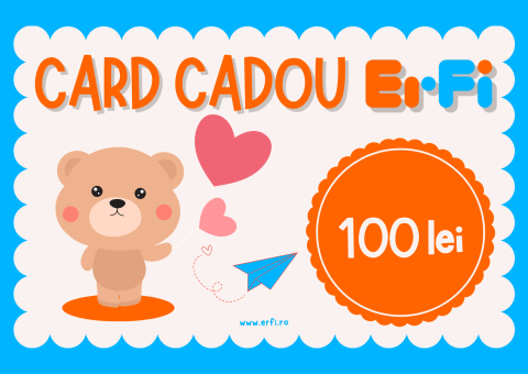 Servicii ErFi.ro - Voucher Cadou ErFi.ro