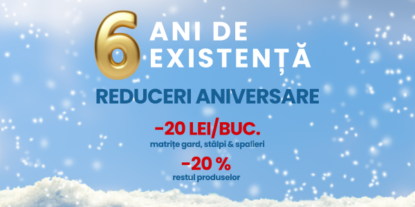 6 ani de proiecte reușite. 6 ani de Matrilab.