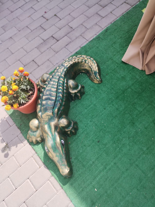 Matrita Crocodil 96x40x15 cm [9]