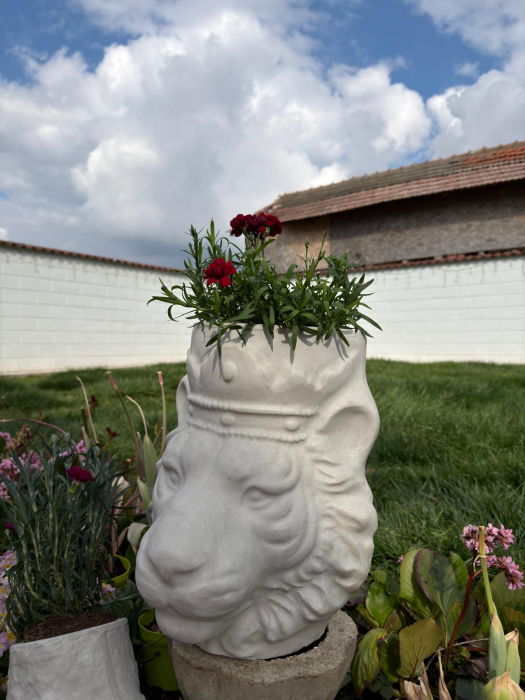 Flower pot mold lion head 38 cm H [8]