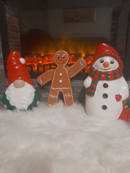 Matrita Omulet Turta Dulce dintr-o BUCATA  35x28.5x3.5 cm [4]