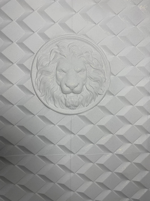 Matrita panou 3D [9]