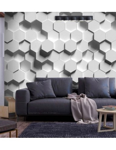 Matrita panou 3D [2]