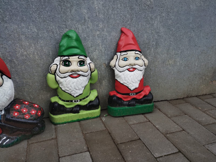 Matrita pitic gradina Dragalasul [2]