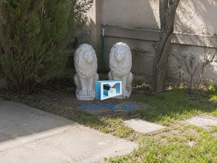 Set of 2 Imposing lions molds left and right impunators 54 cm H [5]