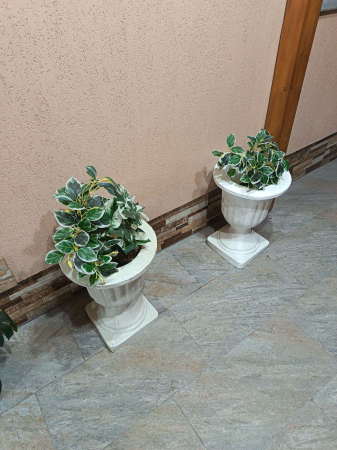 Matrita Ghiveci Apollo  43.5 cm H [1]