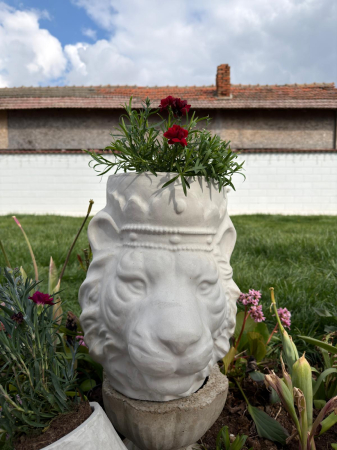 Flower pot mold lion head 38 cm H [1]