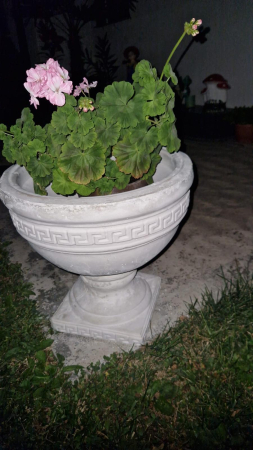 Matrita Ghiveci Flori Versace 41 cm H [1]