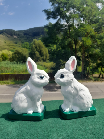 Matrita Iepuras 49x25x16 cm - set 2 bucati fata si spate [1]