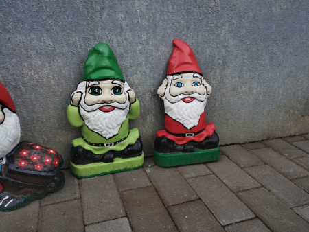 Matrita pitic gradina Dragalasul [1]