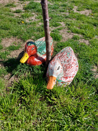 Matrita Ratusca 35 cm H - set 2 bucati fata si spate [1]
