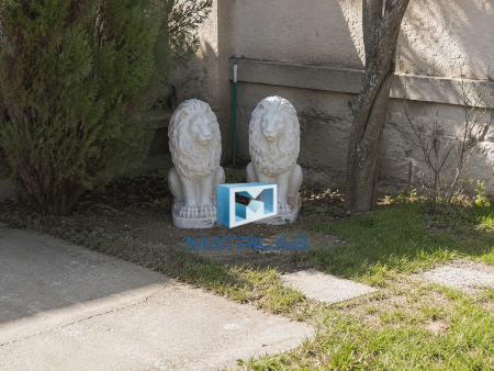 Set of 2 Imposing lions molds left and right impunators 54 cm H [4]